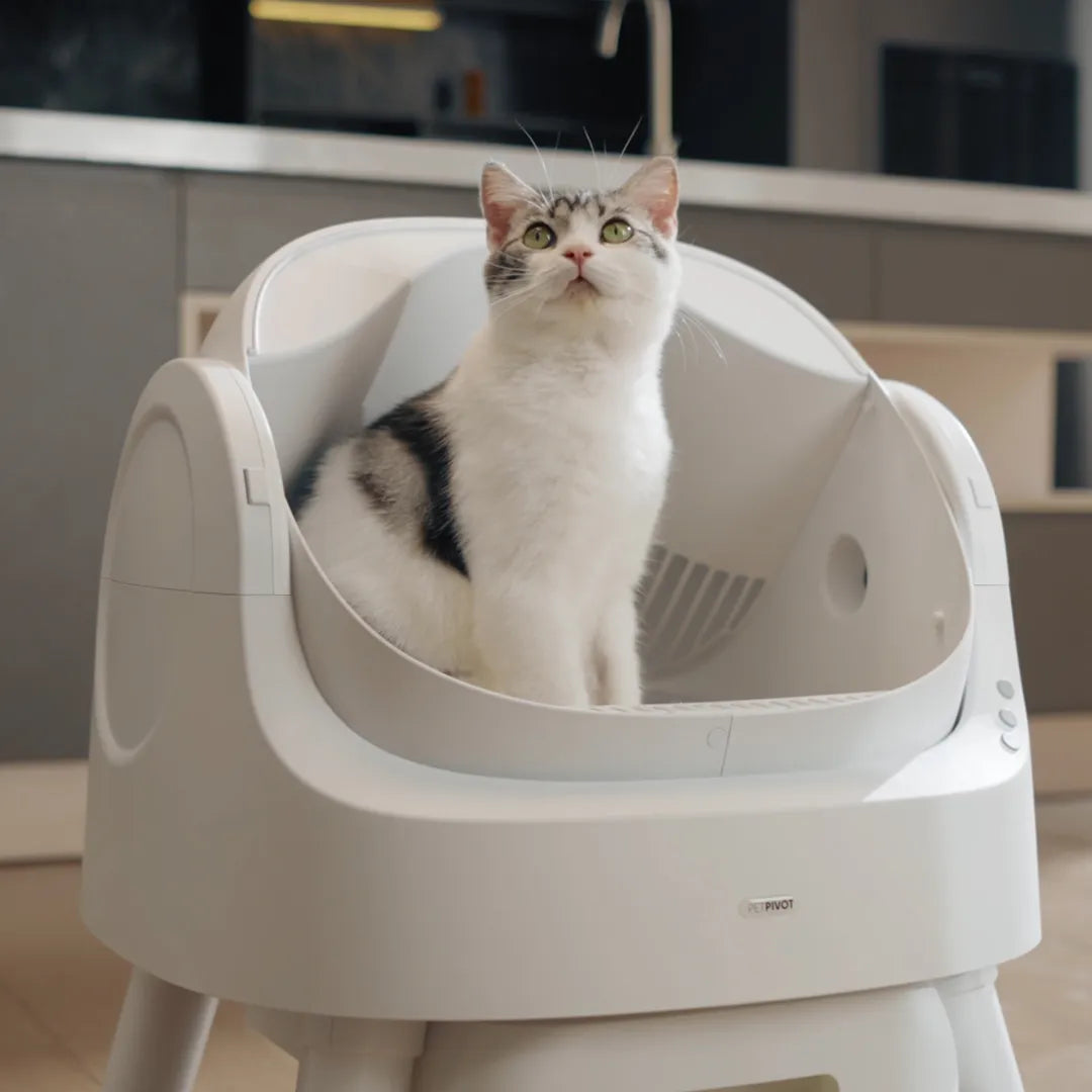 The TreasureLine Litter Box