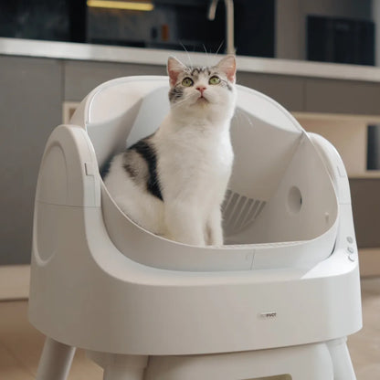 The TreasureLine Litter Box