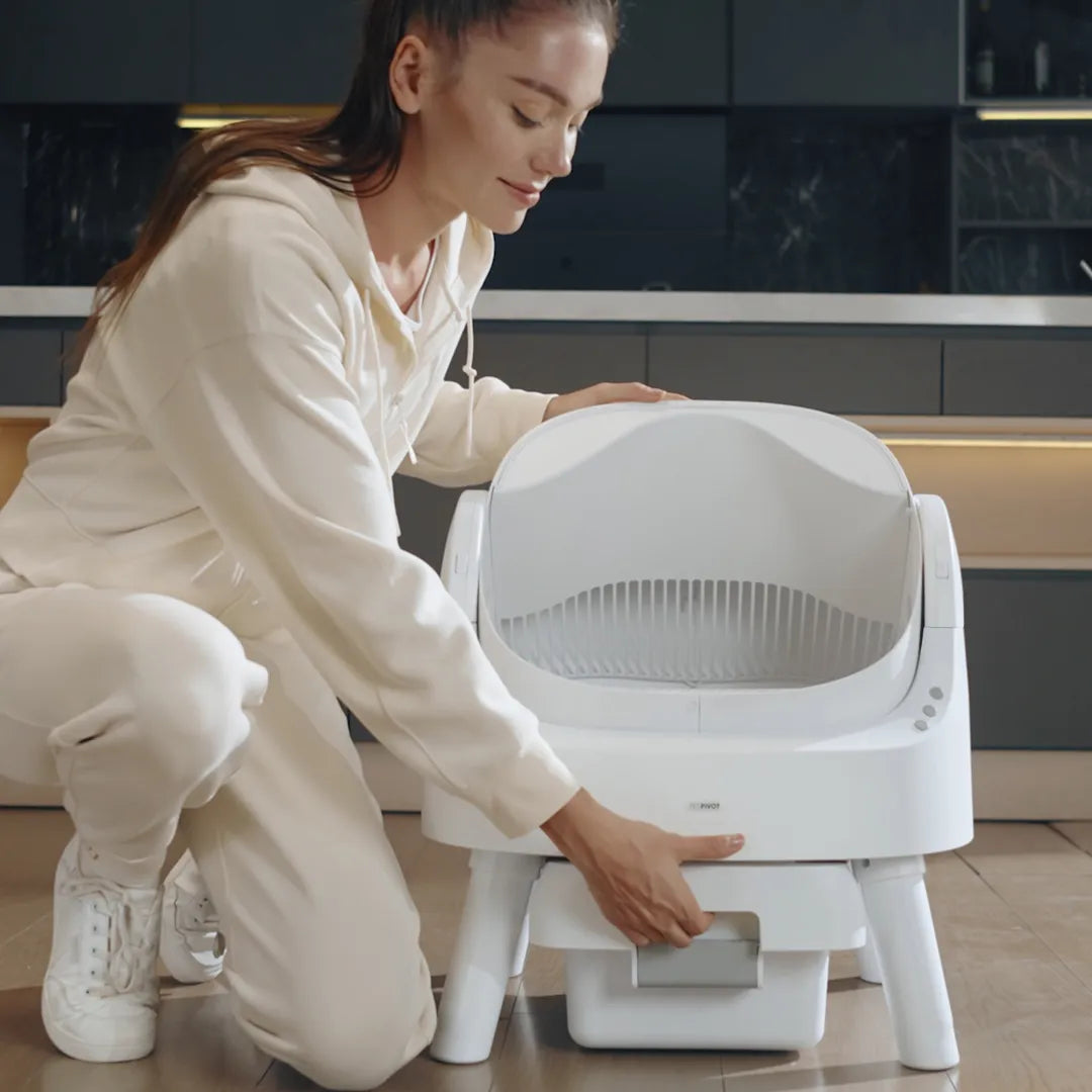 The TreasureLine Litter Box