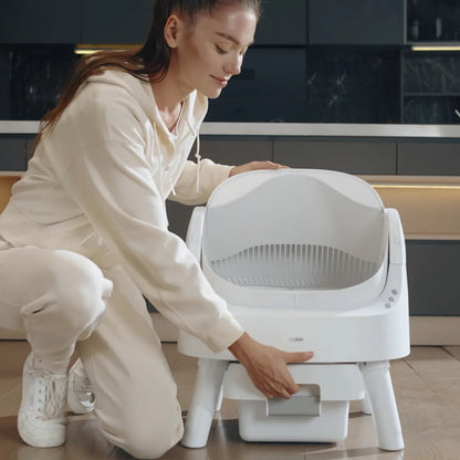 The TreasureLine Litter Box