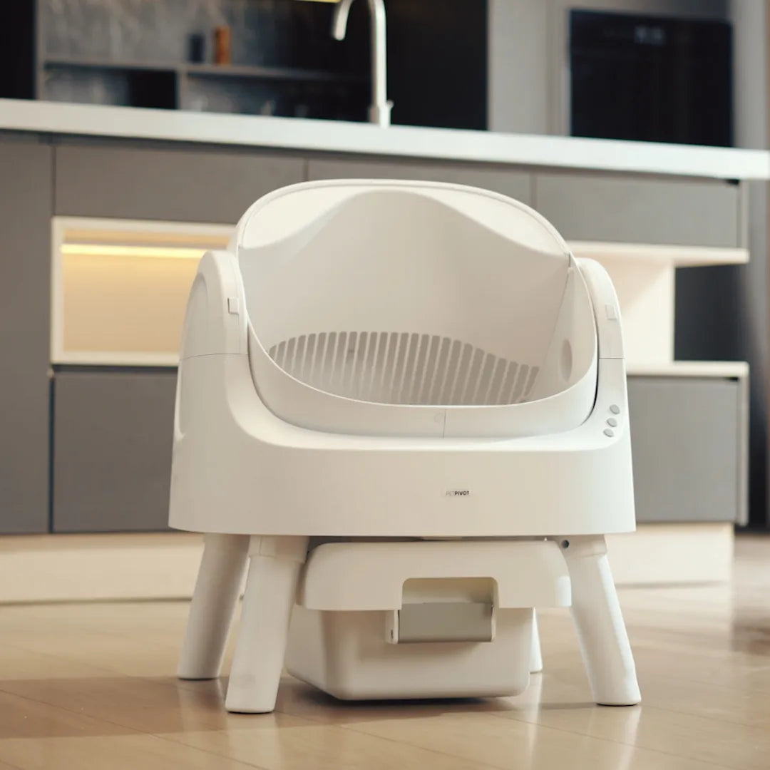 The TreasureLine Litter Box